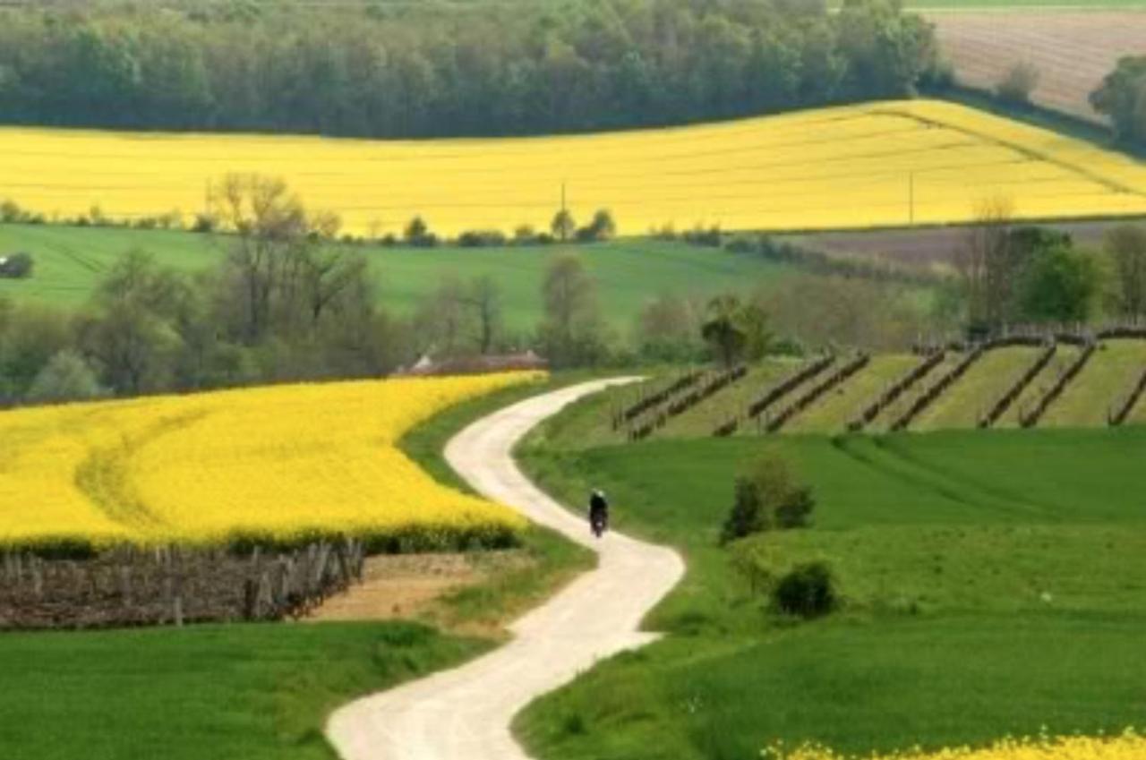 Вілла Les Rosiers Chaunay Екстер'єр фото